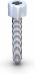Inox-Inbusschraube M8x30 Inox-Inbusschraube M8x30