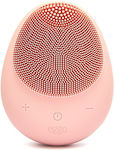 Cleansing Facial Cleansing Brush