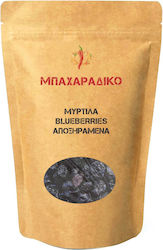 ΜΠΑΧΑΡΑΔΙΚΟ Blueberries 500gr