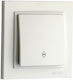 Mono Electric Vertiefter Elektrische Wandtaster Einweg Silber
