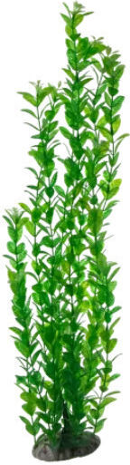 Nobleza Διακοσμητικό Ενυδρείου Φυτό 60cm 1τμχ Nobleza 2060374