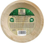 Tessera Disposable Paper Bowl