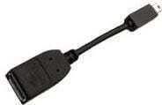 PNY DisplayPort / Mini DisplayPort Male to DisplayPort / Mini DisplayPort Female