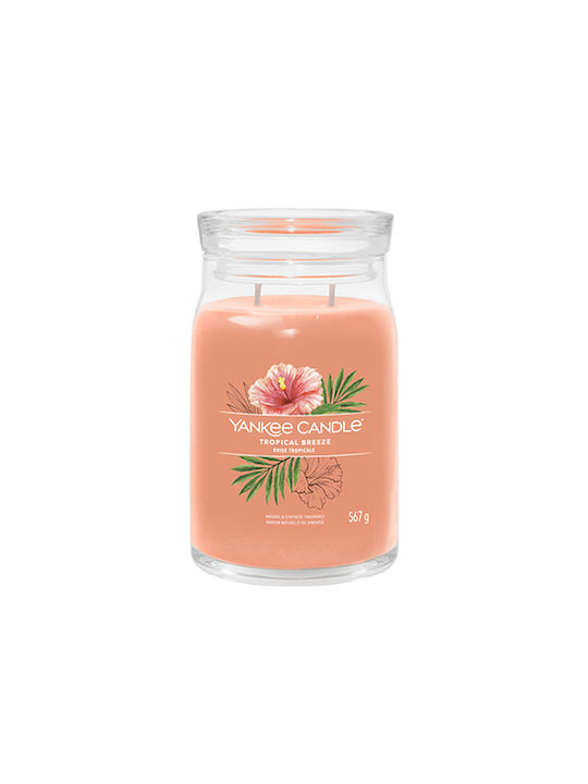 Yankee Candle Decorative Candle Tropical Breeze Signature 567gr 1pcs