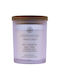 Chesapeake Bay Candle Διακοσμητικό Κερί 96gr