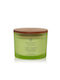 Chesapeake Bay Candle Lumânare Decorativă Verde 250gr 1buc