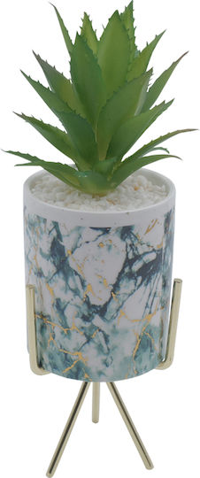 Sukkulente Pflanze in Topf Hellblau 26cm Uncle George