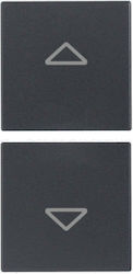 Two Half Keys 1 Module Symbol Arrow Grey Eikon 20751.2