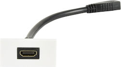 AvLink HDMI Accesorii Diverse Pentru TV Și Video AvLink HDMI Accesorii Diverse Pentru TV Și Video