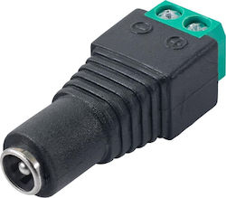 Plug Ak-sc-17 Utp To 5.5 X 2.1 Mm