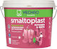 Vechro 121201000023 Smaltoplast K&b Αντιμυκητιακο B P 750ml