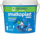Vechro 120201004341 Smaltoplast Extra Ochre No 43 180ml