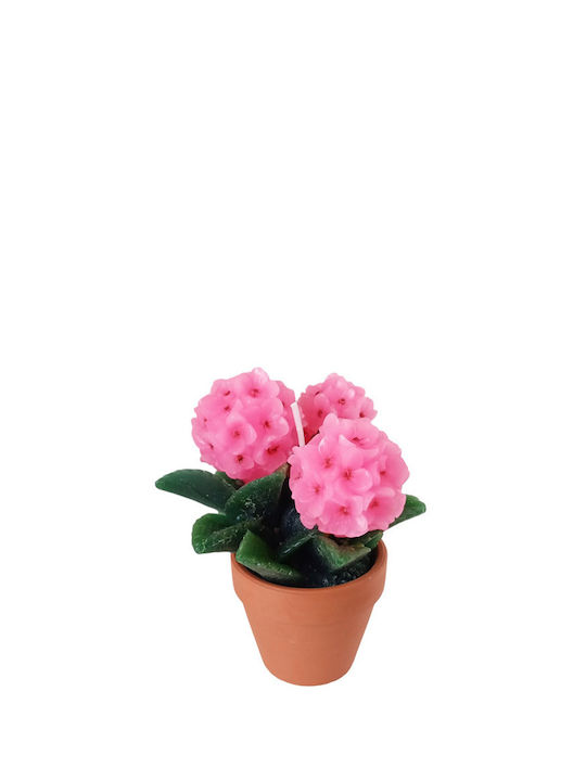 Etoile Lumânare Decorativă Ghiveci Roz 10x13cm
