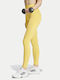 Optime Instruire Colanti de femei Colanti Yellow