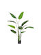 Plantă Artificială în Ghiveci Green 150cm Bizzotto