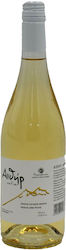 Oinopoieio Paraskeya Äther Weiß Trocken 750ml
