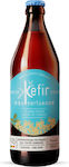 Bio Gel Water Kefir 330ml Elderflower