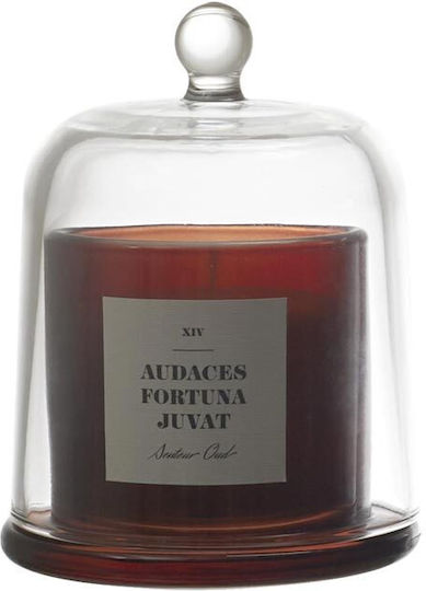 The Home Deco Factory Αρωματικό Κερί σε Βάζο XIV 550gr The Home Deco Factory Αρωματικό Κερί σε Βάζο XIV 550gr