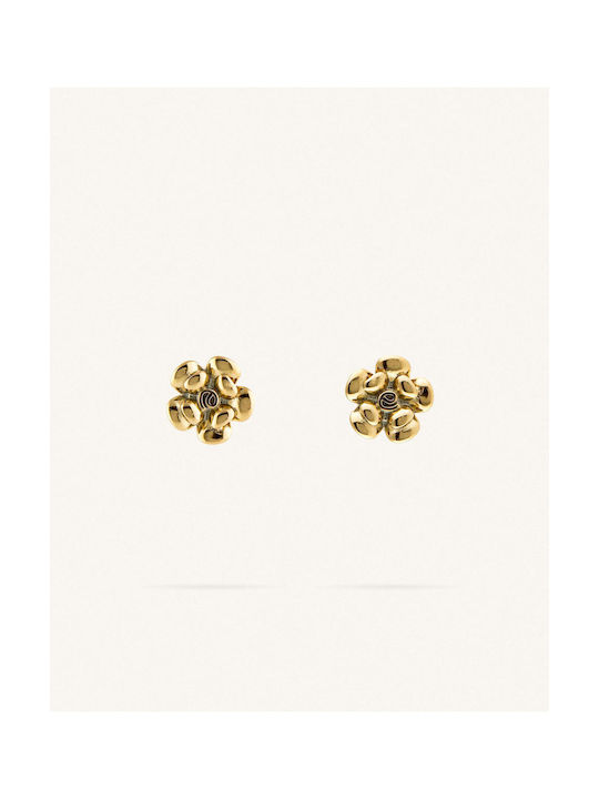 StanStefan Earrings made of Steel Gold Plated