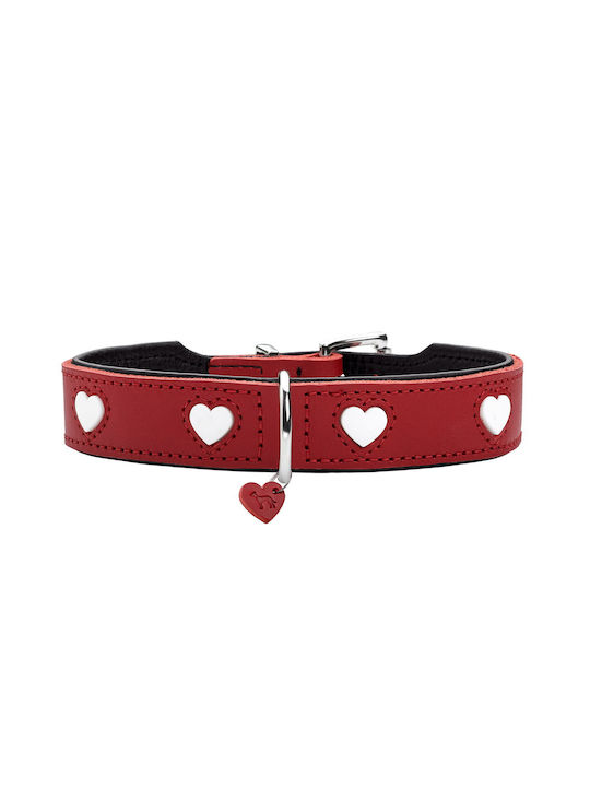 Hunter Hundehalsband Klein / Mittel