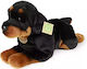 Rappa Plush 39 cm