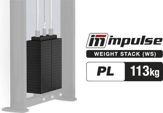 Set de plăci de greutate Pl90 250lbs 113kg Plws250