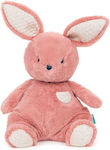 Spin Master Plush Bunny Gund