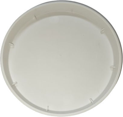 Teller Linea Nr. 892 F24 aus Zucker