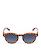 Contacta Women's Sunglasses with Brown Frame and Blue Gradient Polarized Lens