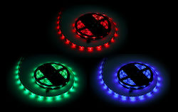 Rebel Rezistent la apă Bandă LED 12V cu lumină RGB 5m Rebel Rezistent la apă Bandă LED 12V cu lumină RGB 5m