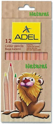 Next Colored Pencil Set