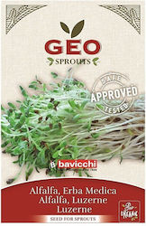 Alfalfa Medicago Sativa Plant 40gr Geo