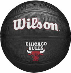 Wilson Team Tribute Dallas Mavericks Mini Basketball Ball Outdoor
