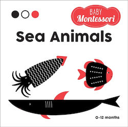 Sea Animals