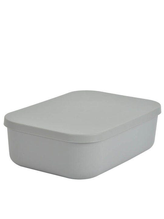 Plastic Storage Box with Lid Gray 25x17.5x7.6cm 1pcs