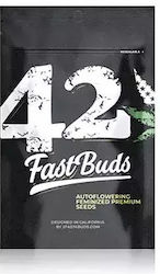 Fast Buds Σπόροι Φράουλας