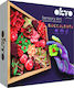 DIY Creative Clay Wood & Craft Suculente Suculente Passion Construction Set