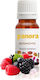 Lebensmittel Parfüm Brombeere Parfüm 30 Ml