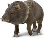 Miniature Safari Peccary South American Pig Miniatures