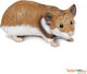 Miniature Hamster Hamster Safari Hamster