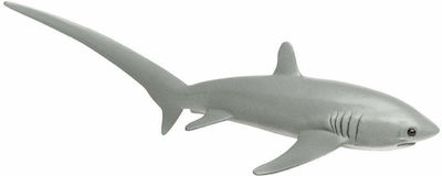 Miniature Safari Thresher Shark Alopecia