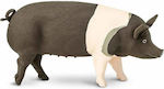 Safari Ltd Miniatur-Spielzeug Schweinchen Hampshire Schwarz 10.8cm