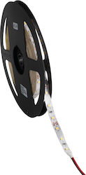 Kanlux Αδιάβροχη Ταινία LED 12V Μπλε 5m