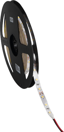 Kanlux Wasserdicht LED-Streifen 12V Blau Licht 5m Typ SMD3528