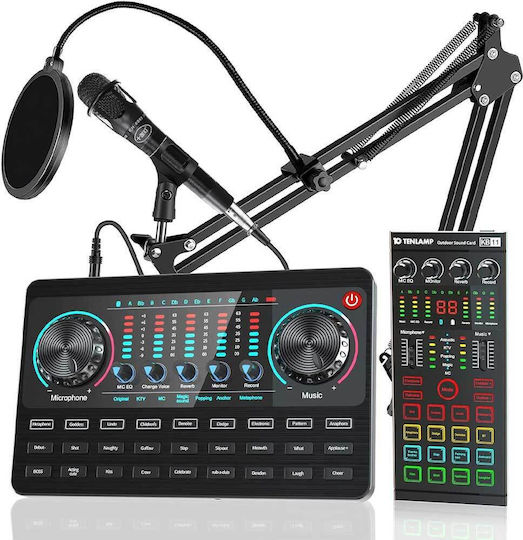 Tenlamp 1000-42170135 32 XLR Inputs