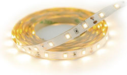 Struhm Ταινία LED 3m Struhm Ταινία LED 3m