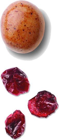 Karamanis Dragees in Form von Kieselstein mit Geschmack von Vanille Orange 3500gr