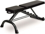 MDS Adjustable Workout Bench