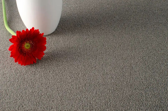 Carpet Bari 2611 13mm Grey 400x