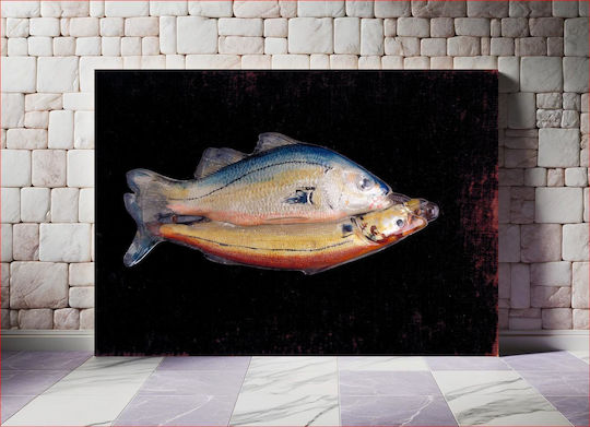 Two Fish One Gemälde Glas 50x80cm